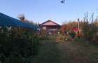 Casa de vanzare Comana Giurgiu - 5