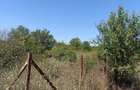 Teren de vanzare 537 mp | Str. Cupidon, Teghes (Domnesti) - 4