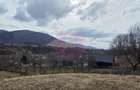 Teren intravilan de vanzare in Valea Doftanei - 6