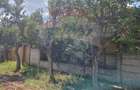 Casa cu gradina mare in Boiu - 8