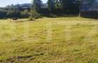 Teren intravilan, 5530 mp, zona Neagra Sarului - Vatra Dornei