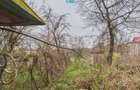 Casă 70 mp în Diosig, 1230 mp teren, cu Crama 25mp - 4