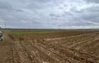 Teren extravilan 2500 mp,cu acces la Centura ,Radauti - 4