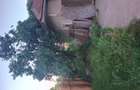 Vand casa cu teren 2500 Lehliu sat - 2