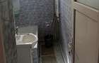 Apartament 2 camere de inchiriat Podul inalt - 9