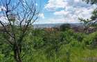 Teren intravilan de 2108 mp, cu casa, zona excelenta, Dambul Rotund - 11