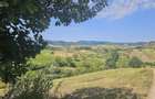 Teren 4.454 mp de vanzare in Sichevi?a - 1