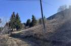 Teren Valea Ieri intravilan cu priveliste superba la munte zona linistita - 7