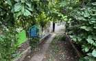 Casa cu potential investitional | Zona Iosefin 200 mp utili 239.000 E - 12