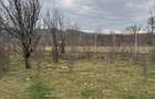 Brebu - teren intravilan 5200mp parcelabil - 25 Euro/mp - 3