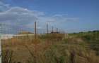 Domnesti-teghes strada Bucegi intersectie Oltenitei - 4