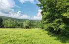 VAND TEREN INTRAVILAN 5.523 mp Vaideeni (Izvorul Rece)), VALCEA - 2
