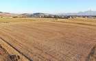 Teren agricol 2.537 mp de vanzare Sanpetru, Bra?ov
