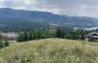 Teren intravilan Colibita 2300 mp panoramic
