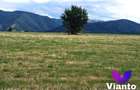 Oportunitate-Teren Extravilan 6200 mp cu vedere Panoramica-Tropinii No - 9