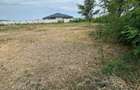 Teren intravilan 32ari Culciu Mare 64 m front aproape de strada principala - 6