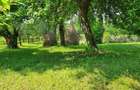 Teren de vanzare, zona superba