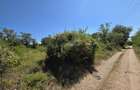 Teren intravilan, 509 mp, deschidere 30 m, com. Vernesti - 6