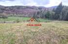 Teren extravilan Valea Doftanei 20.500 mp 6e mp - 6