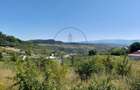 TEREN 990MP,VALEA JELNII - 1