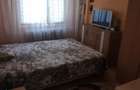 Apartament 3 camere de inchiriat in Nicolina Cug - Lidl - 9