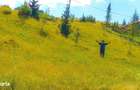 TEREN INTRAVILAN 2000 mp 32 m la drum Acces DN17A, BUCOVINA! - 3