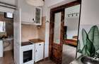 Apartament 1 camera, 45 mp, curte, Cipariu - 2