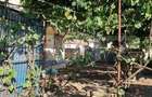 Casa cu 3 camere, anexe, curte si gradina