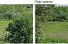 Teren intravilan cota parte 1/4 Tarpesti, ID: R2327012 - 2