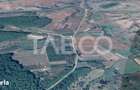 Teren extravilan de 4991 mp la strada principala in Sura Mare - 2