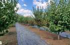 Fundulea Vila 185 mp cu teren 4000 mp - 9