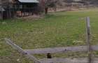 Vand Teren intravilan Sat Chiojdu - 3