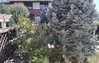 inchiriez vila 3 camere Domnesti Ilfov - 7