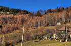 Magura/Brasov, teren generos, pretabil investitie cabane/pensiune/casa - 14