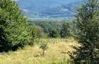 vand teren intravilan comuna Alexandru cel Bun - 1