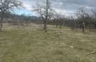 Campina - teren intravilan 4400mp - 17 Euro/mp - 1