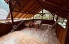 Casa de vacanta Cabana cu 8 camere de vanzare in Paltinis - 13