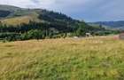 Vindem teren cu peisaj superb in Bucovina - 5