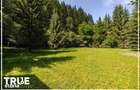 Cabana 160m2 utili, teren 2253m2, Salard, Mure?!