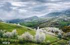 Resedinta pensiune, in areal privilegiat. cu 1.000 mp teren, Pestera, - 12