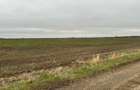 Teren extravilan agricol 15500mp, deschidere 49,64 in Tartasesti - 1