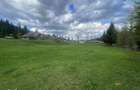 55.000 MP IN INIMA NATURII DIN BUCOVINA | POTEN?IAL RESORT DE LUX, - 2