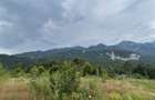 Teren intravilan, 1000 mp, proiect duplex P+E, zona Sinaia - Zamora - 15