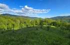 Vand teren la munte, Arges, Corbeni zona Cetatea Poenari Vlad Tepes, Baraj Vidraru - 2