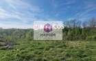 Teren 2360mp, KM 6, ID 978 - 5