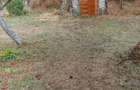 Teren-casa de vanzare - 3