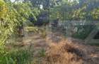 Teren 444 mp , dubla deschidere, zona Catargiu - 4