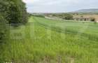 Teren intravilan, in localitatea Bobota in suprafata de 12.500 mp - 4