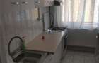 Inchiriere Apartament 2 Camere Semidecomandat Emil Racovita - 8