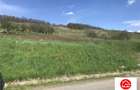 Teren de 6500 mp, în Remetea - 6